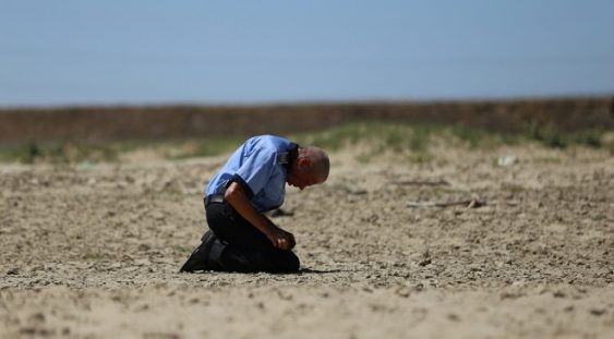 Filmul „Câini” de Bogdan Mirică a fost elogiat în presa franceză