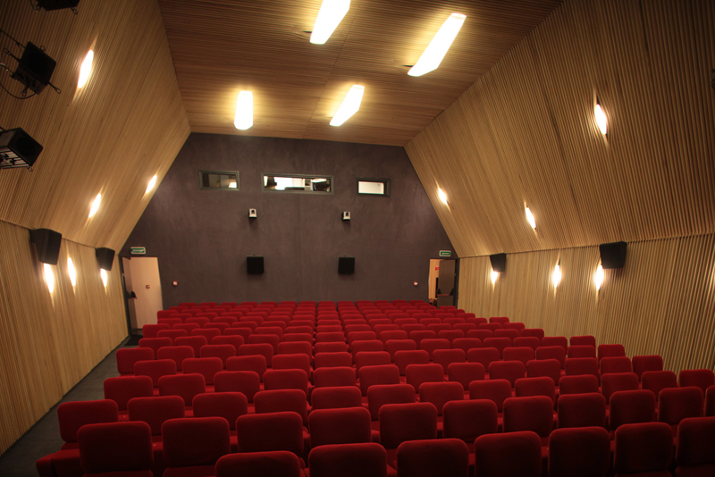 Oscar Weekend la Cinema Elvire Popesco