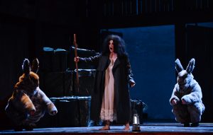 timis2017-carmen3.brumar-iepur-300x191 timis2017-carmen3.brumar-iepur