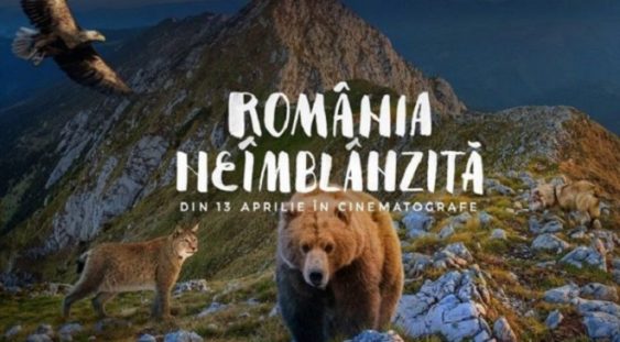 VIDEO: Documentarul „România neîmblânzită” intră în cinematografe