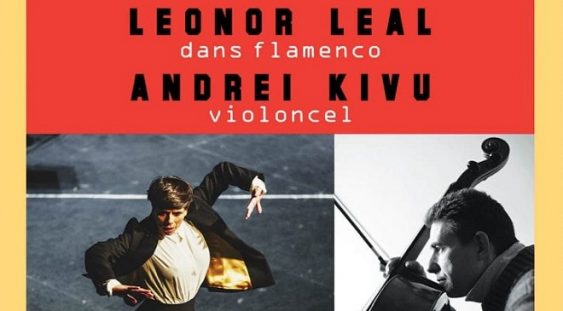 Dans flamenco și violoncel @ TNB