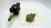 Prima clinică medicală care aplică tratamentul cu canabis a fost deschisă în Marea Britanie Prima clinică medicală care aplică tratamentul cu canabis a fost deschisă în Marea Britanie