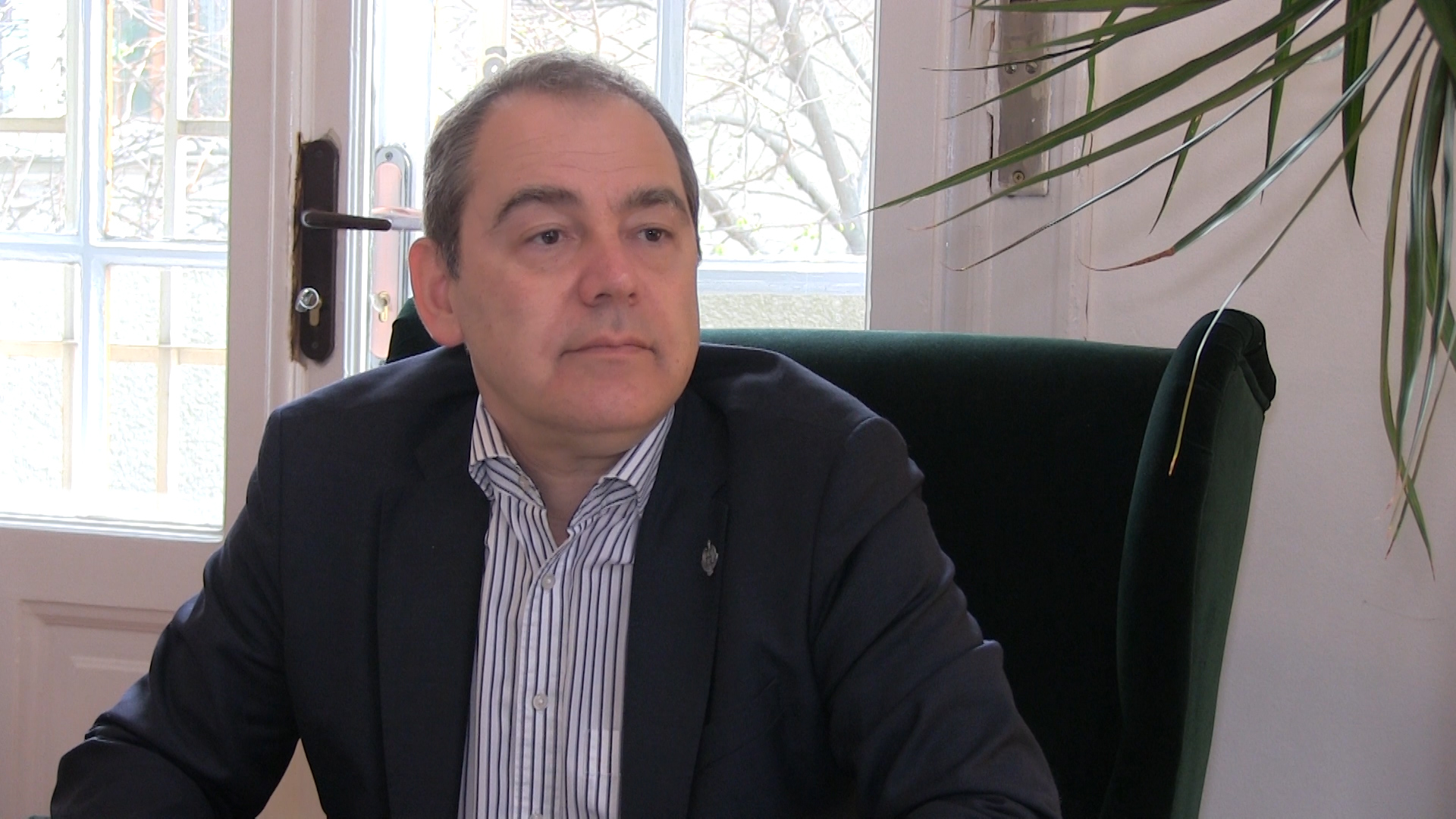 Fostul ministru al Culturii, Vlad Alexandrescu nu crede în divorțul PNL-PSD