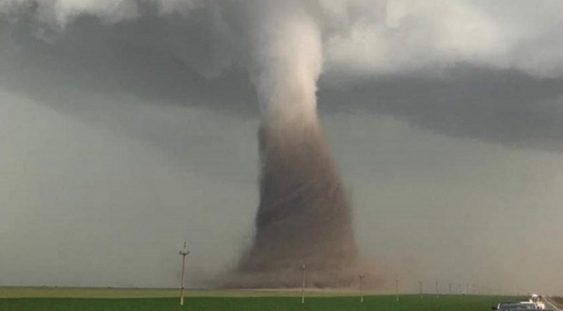 VIDEO | Tornadă, filmată în județul Călărași