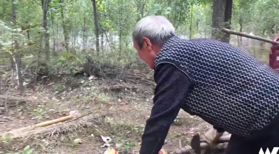 VIDEO | Motivul impresionant pentru care un bătrân de 70 de ani, fără picioare, a plantat 17.000 de copaci
