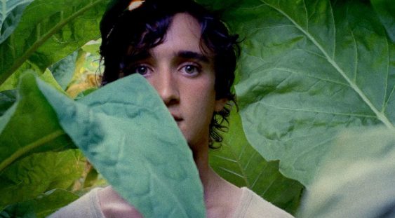 LAZZARO FELICE – o poveste captivantă despre bunătate