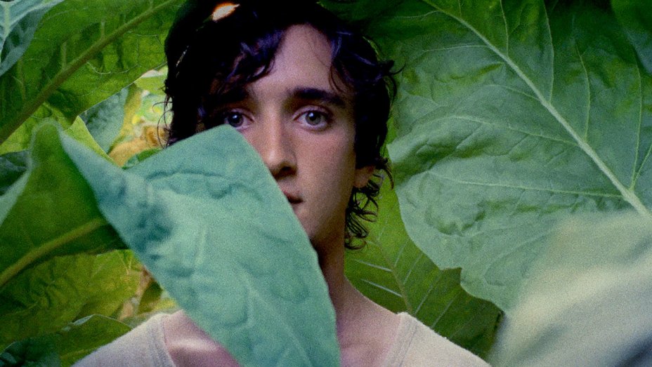 LAZZARO FELICE – o poveste captivantă despre bunătate