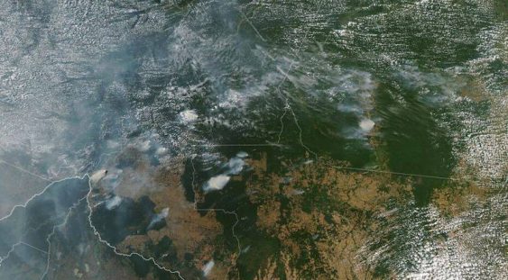 VIDEO | Imagini dramatice cu focul care distruge 20% din oxigenul Planetei. Pădurea amazoniană, declarată urgență internațională