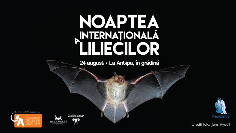 Noaptea Internaţională a Liliecilor la Antipa