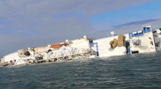 Nava cu 14.000 de oi scufundate în Marea Neagră. Filmul evenimentelor și ce s-a întâmplat cu oile