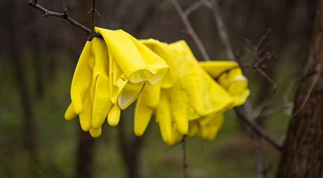 „Plantăm Fapte Bune” caută voluntari pentru trei acțiuni de plantări, în martie