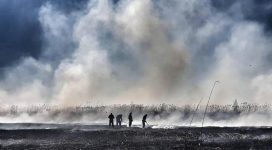 Studiu Harvard: Poluarea aerului crește rata mortalității din cauza Covid-19 Studiu Harvard: Poluarea aerului crește rata mortalității din cauza Covid-19
