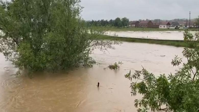 Cod roșu prelungit pe râuri din Caraș-Severin și Timiș