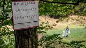  Let’s Do It, Romania! caută voluntari pentru un nou proiect