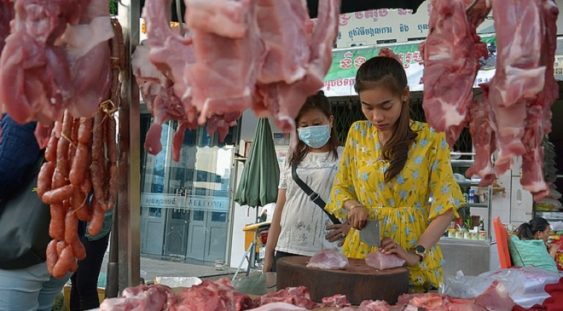 Vietnamul interzice importurile de animale sălbatice pentru a reduce riscul unor pandemii viitoare