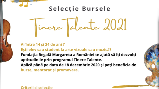 Se lansează selecţia naţională pentru bursele Tinere Talente 2021