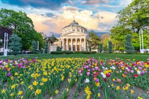  O nouă ediţie a festivalului 'Vara magică'