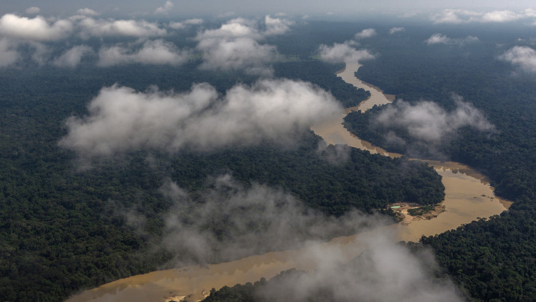 Pădurea amazoniană, considerată „plămânul” Terrei, emite pentru prima dată mai mult dioxid de carbon decât consumă