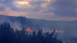  Incendiu puternic în Tulcea: Zece hectare de stuf și vegetație ard în zona lacului Babadag