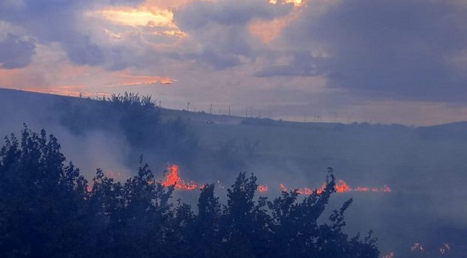 Incendiu puternic în Tulcea: Zece hectare de stuf și vegetație ard în zona lacului Babadag