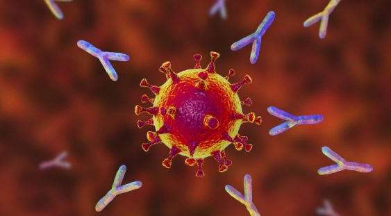 De ce testele de anticorpi sunt deocamdată irelevante pentru a determina în ce măsură suntem protejați de coronavirus