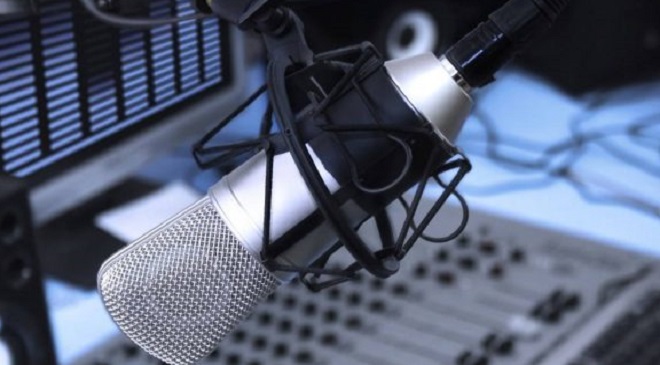 Propunerile USR pentru conducerile TVR, Radio Public și ICR: Andrei Enescu, Liviu Popescu și George Pleșu