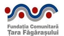 Au fost anunțați câștigătorii Fondului pentru Comunități  Carpathia