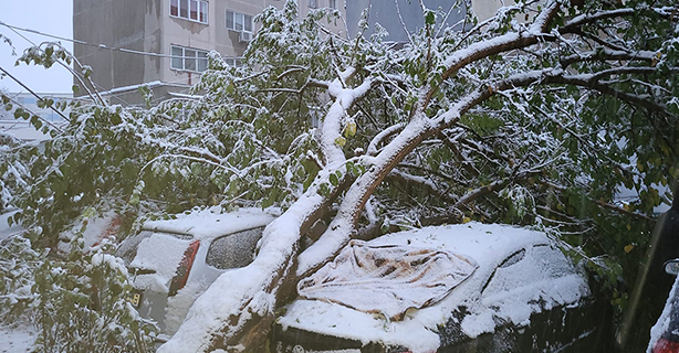 Cod portocaliu de vânt și precipitații în Județul Giurgiu