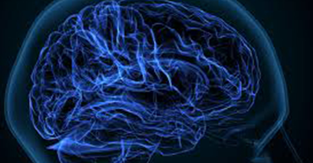 Descoperire revoluționară în neuroștiință: dezvoltarea creierului uman continuă după naștere