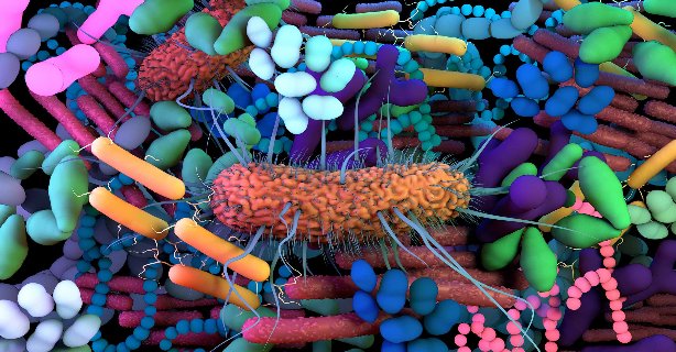 Microbiomul uman: taine şi provocări