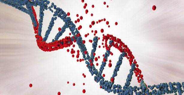  Descoperire nouă pentru echilibrul genomului uman