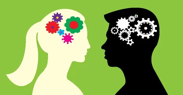 IA dezvăluie diferențe cerebrale distincte între bărbați și femei