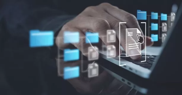 Finanțarea de 50 de milioane de lei pentru transformarea digitală a 1000 de primării și consilii județene
