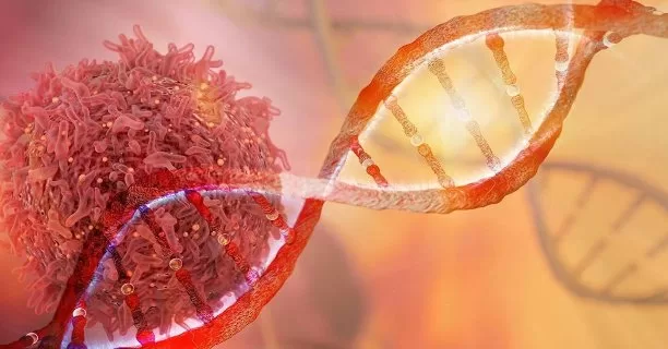 Bacterii bizare sfidează informațiile din manualele scriind gene noi