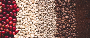 coppertina-seed-to-cup-300x128 Știința preparării cafelei perfecte