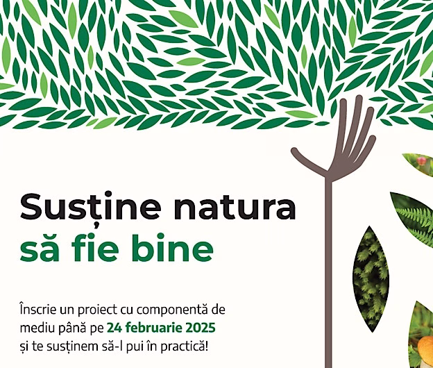 Fondul Carpathia 2025: Granturi pentru inițiative ecologice și educaționale în Țara Făgărașului