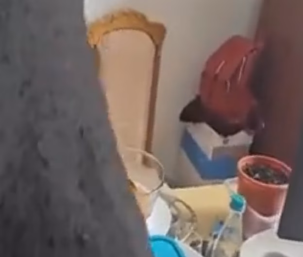 Diana Șoșoacă a căutat în caserolele cu mâncare ale angajaților CCR
