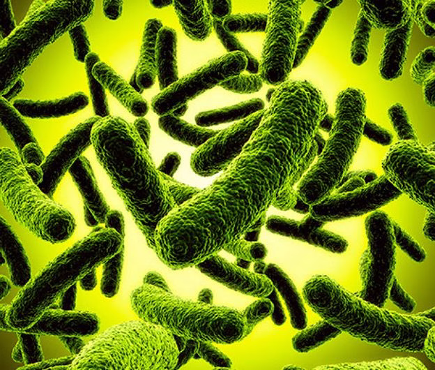 Bacterii modificate genetic pentru a produce „nylon” biodegradabil