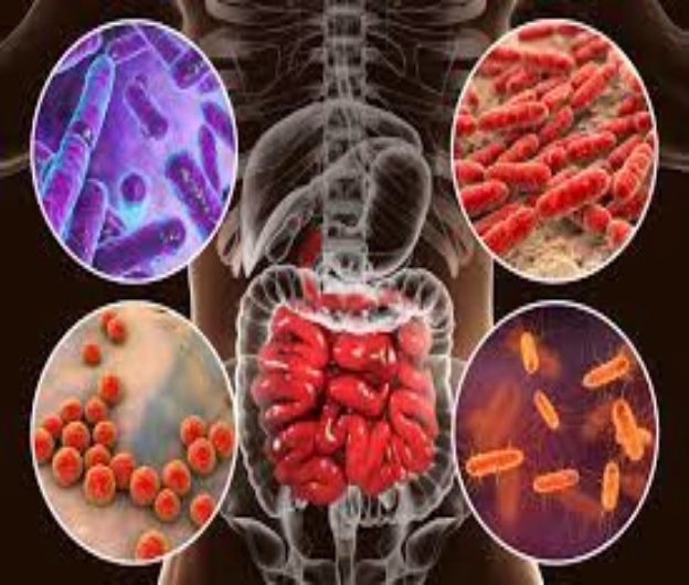 Inovații în protejarea microbiotei intestinale în timpul tratamentului cu antibiotice