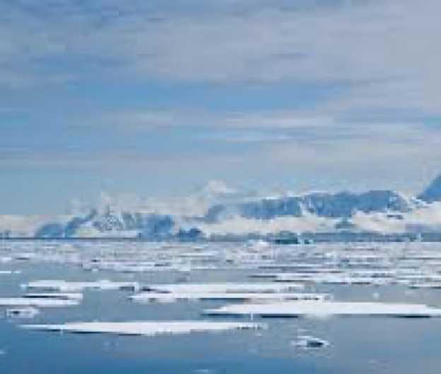 Clima mondială în pericol: 2024, anul cu cele mai ridicate temperaturi din istorie