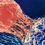 O tehnologie revoluționară bazată pe AI identifică tumorile canceroase