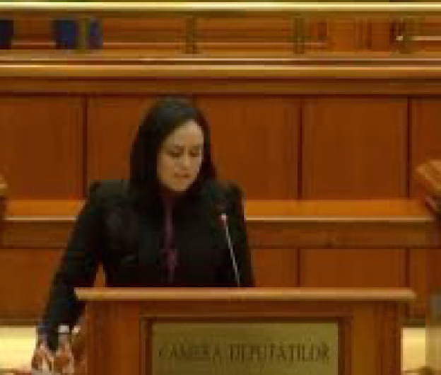 Simona Bucura-Oprescu, după adoptarea moțiunii simple în Senat: „Este o nedreptate, am muncit în folosul românilor”