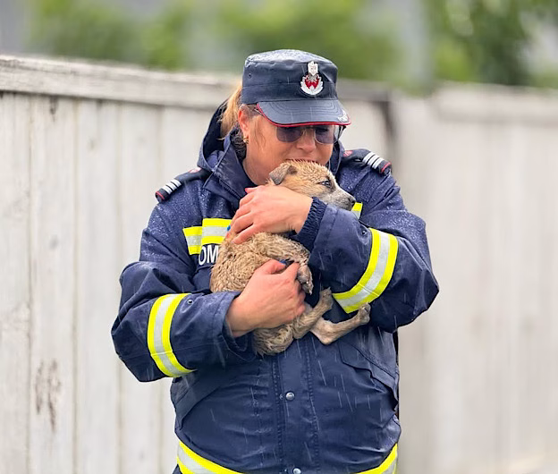 Inundații în județul Brașov: șapte persoane evacuate și peste 500 de animale salvate din calea apelor