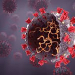 Descoperire-cheie în replicarea virusului SARS-CoV-2: o nouă ţintă pentru antivirale și vaccinuri Descoperire-cheie în replicarea virusului SARS-CoV-2: o nouă ţintă pentru antivirale și vaccinuri