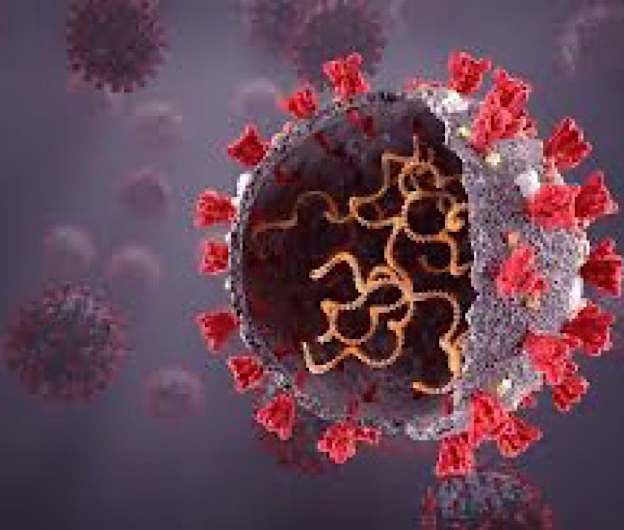 Descoperire-cheie în replicarea virusului SARS-CoV-2: o nouă ţintă pentru antivirale și vaccinuri