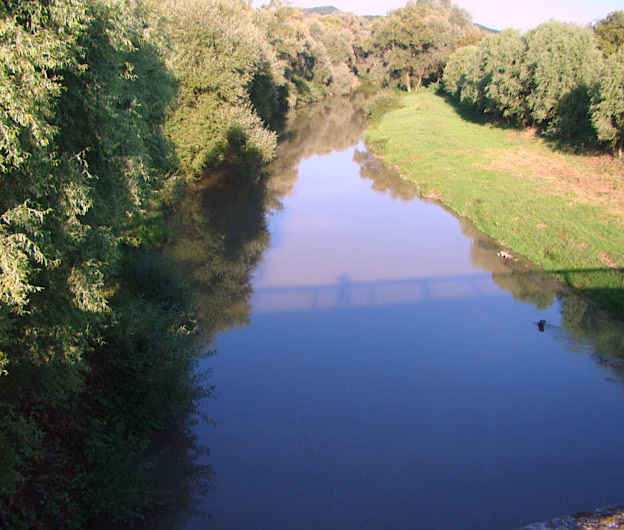 Alertă de salinitate în județul Alba: Fermierii, sfătuiți să nu folosească apa din Târnava Mică și Târnava Mare pentru animale și irigații