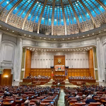 Deputaţii PSD invită Guvernul la colaborare pentru legea împotriva hrănirii urşilor