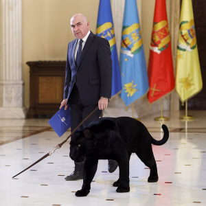 Pantera-300x300 Pantera