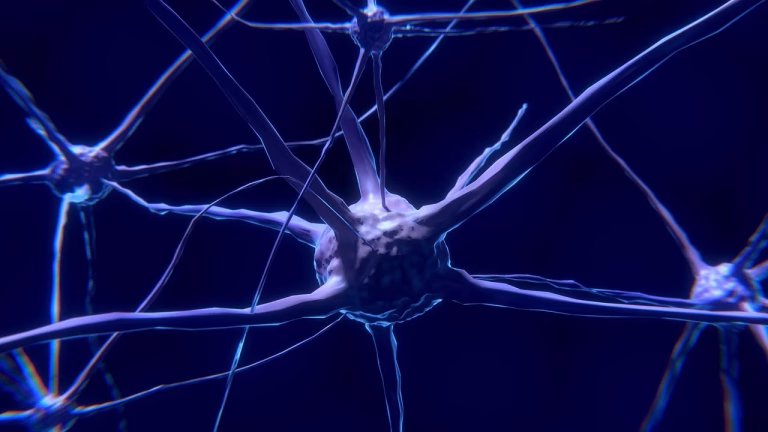 Neuron artificial revoluționar, un pas spre conștiința robotică