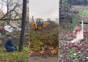 ior-1600x1131-1-300x212 ior-1600x1131